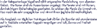 In der Reitsportanlage Vogelherd zhlt